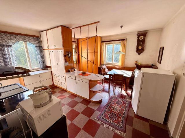 Zentrumsnahe Wohnung in Bad Aussee