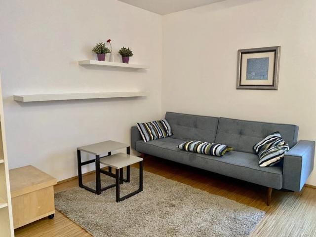 Zentrumsnahes, sehr hübsches + modernes 2 Zimmer Apartment, ruhig und sonnig, Nähe Museumsquartier, Linie 46, U2 Lerchenfelderstraße!