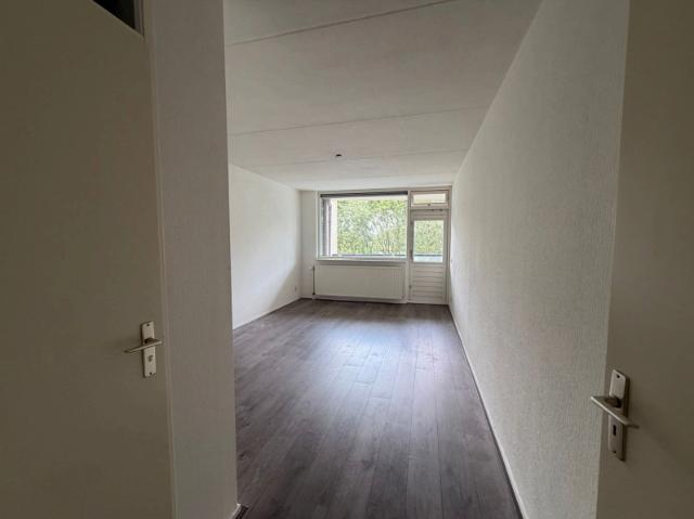 Zeezigt 10, 1111 TL, Diemen