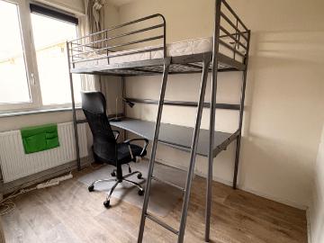 Professor Telderslaan, Schoemakerplantage, Delft, Zuid-Holland, Zuid-Holland