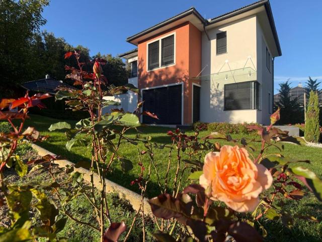Zeitgemäß wohnen in sonniger Lage Einfamilienhaus in Feldbach/Umgebung