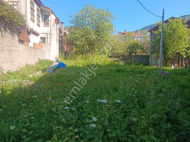 Zeybek*den İnebolu Merkezi 500.m2 Arsa İçinde 2.adet Ahsap Ev