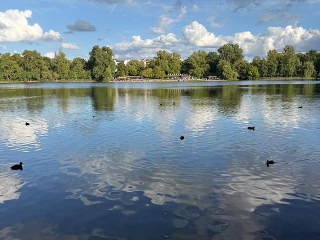 Zimmer in berlin für kurze Zeit Perfekt für Kurzzeitmieter, Messe