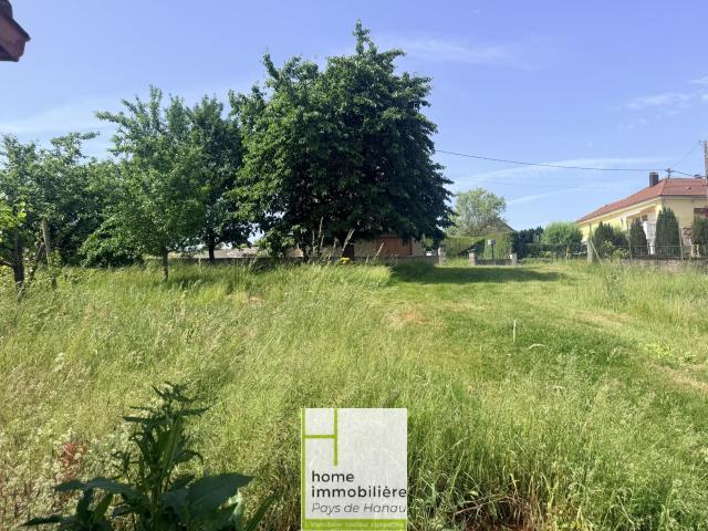 Zinswiller 67: grande maison avec 6 pièces secteur HAGUENAU 15MN