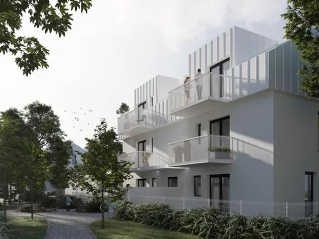 Zielony Brochów 7