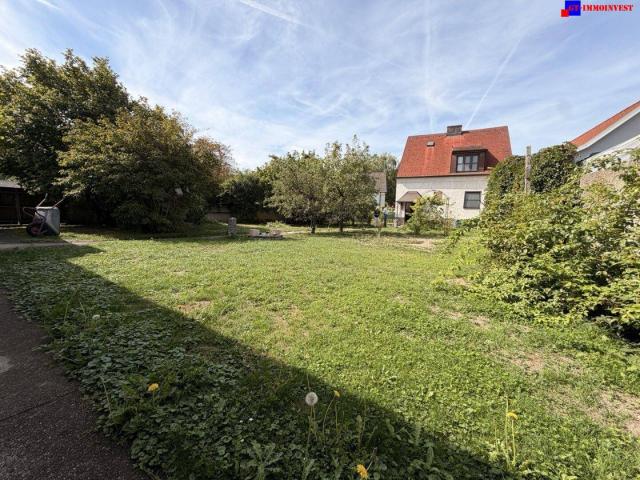 Zillingdorf Gepflegtes Einfamilienhaus mit schönem Garten und Altbaumbestand!