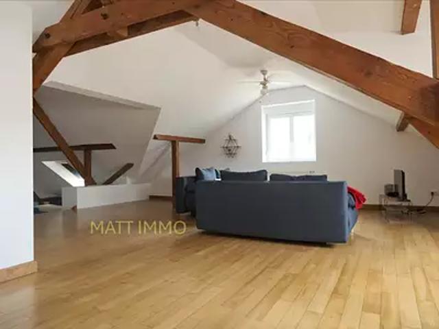 Zillisheim 68720 Achat / Vente appartement