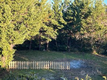 Zona coroncina appartamento in bifamiliare