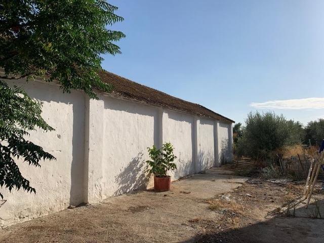 ZONA CORTIJO DEL RUBIO Parcela de 6.000 m, casa de 200 m2 y nave de 500 m2