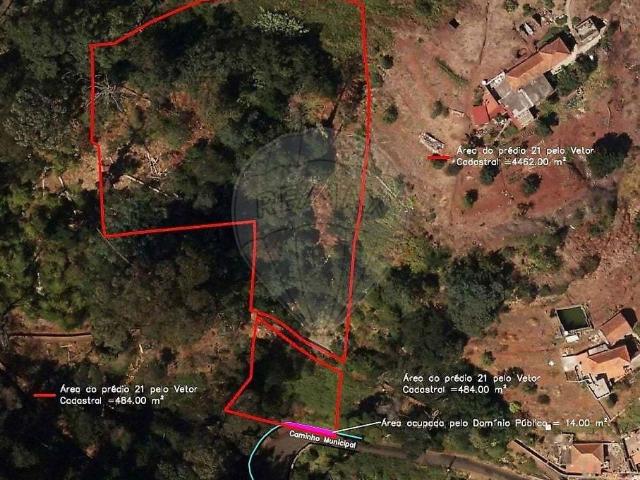 ? Zona do Café Relógio, Camacha – terreno inserido na nature. 4920m² Camacha