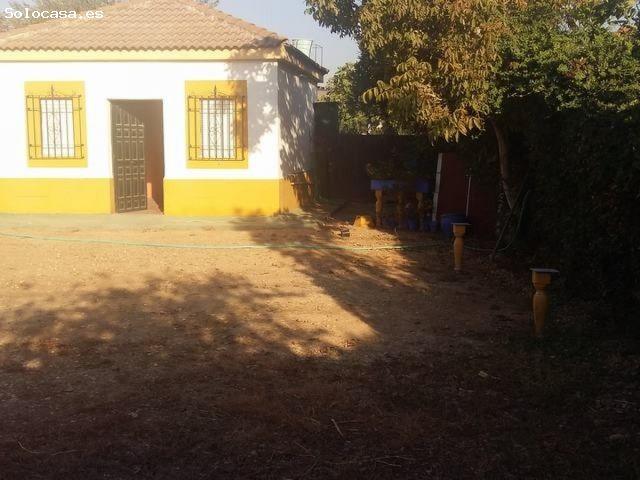 ZONA LA PERLA Parcela de 1.000m2 con setos. Tiene un salon campero de 30 m2