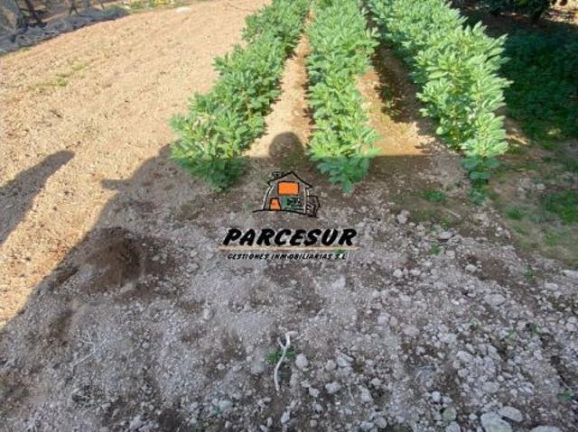 ZONA LAS CUEVAS PARAMO Parcela de 1.500 m2 con casa de 125 m2 y piscina
