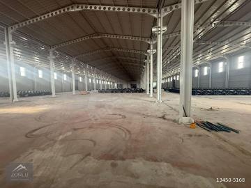 Tarsus, Mersin ili, Akdeniz Bölgesi