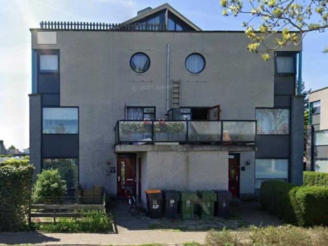 Zwarte Kaaiman 20