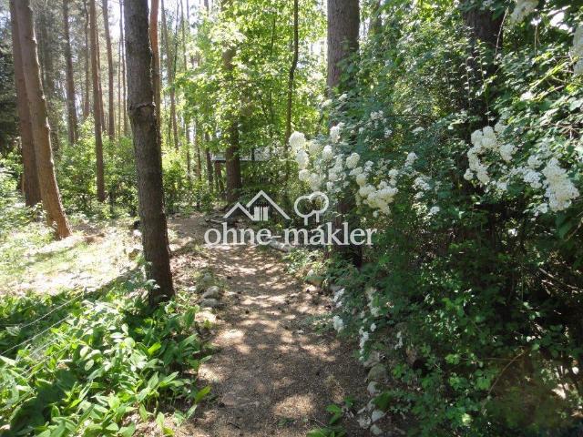 Zwei Blockbohlenhäuser Häuser im Wald, Ferienvermietung & Wohnen im Biosphärenreservat Elbtalaue
