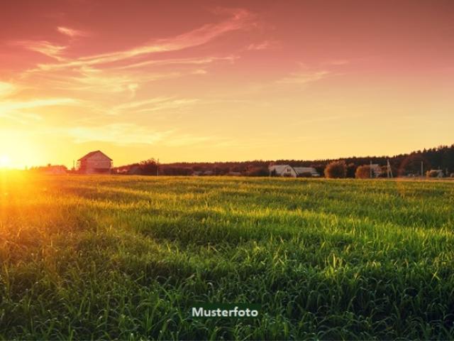 Zwei landwirtschaftliche Parzellen