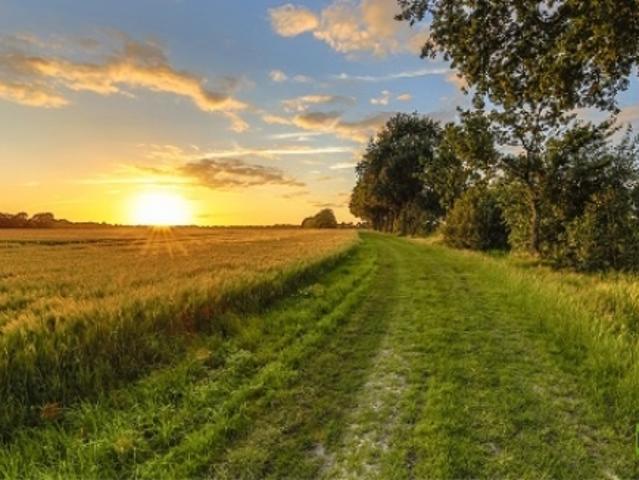 Zwei landwirtschaftliche Parzellen