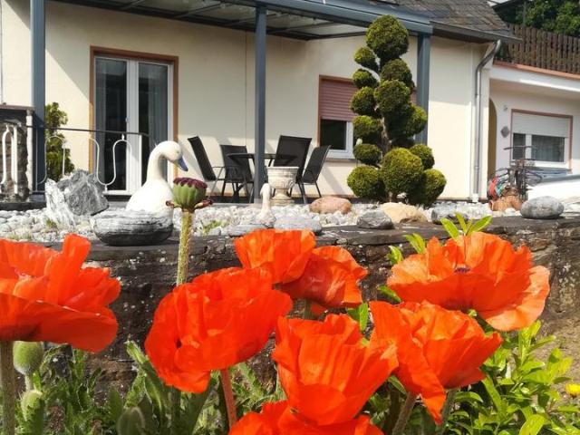 Zweifamilienhaus in Bullay