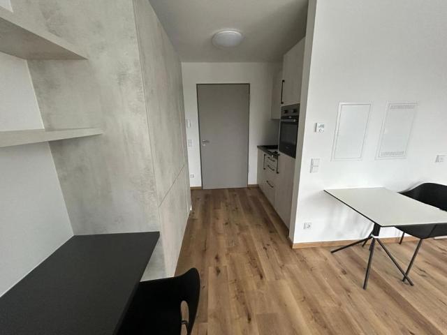 Zweitbezug Möbiliertes 1 Zimmer Apartment