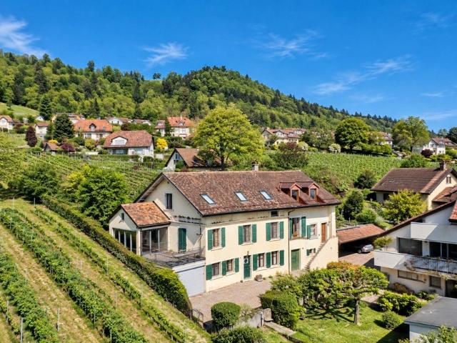 Zwischen Weinbergen und Genfersee: Dorfhaus mit 273 m²
