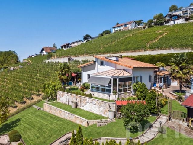 Zwischen dem See und den Weinbergen ein seltenes Grundstück in Grandvaux