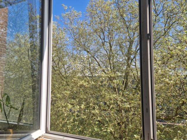 Zwischenmiete: schöne 1 Zimmer Wohnung