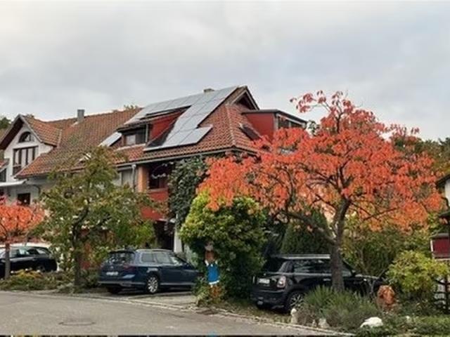 Zwischenmiete Tüb. WHO mit Betreuung Kater, 11/2026#04/2028