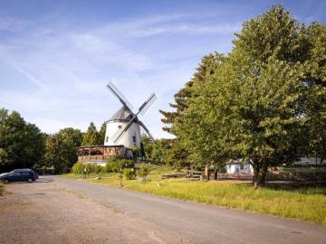 Zschonerallee, Briesnitz, Omsewitz - Keller