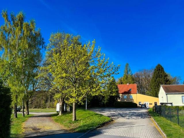 Zu Verkaufen 3 Schlafzimmer Haus Ringenhain Deutschland DS98107373
