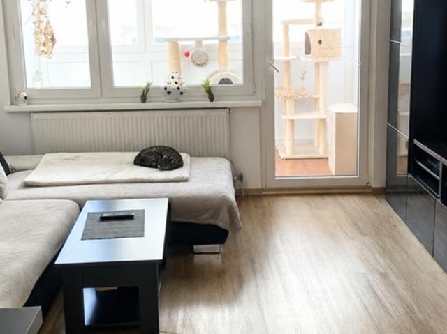 Zu Verkaufen 3 Schlafzimmer Wohnung Wien Wien DS104755560