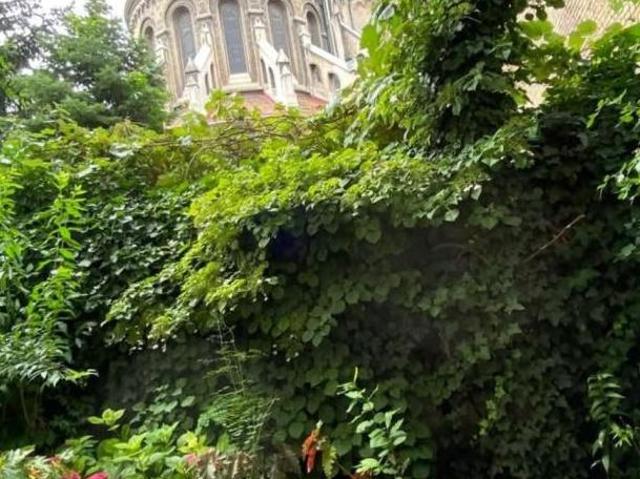 Zu Verkaufen 3 Schlafzimmer Wohnung Wien Wien DS106047127