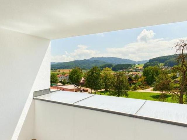 Zu Verkaufen 3 Schlafzimmer Wohnung Oberösterreich Oberösterreich DS105397697
