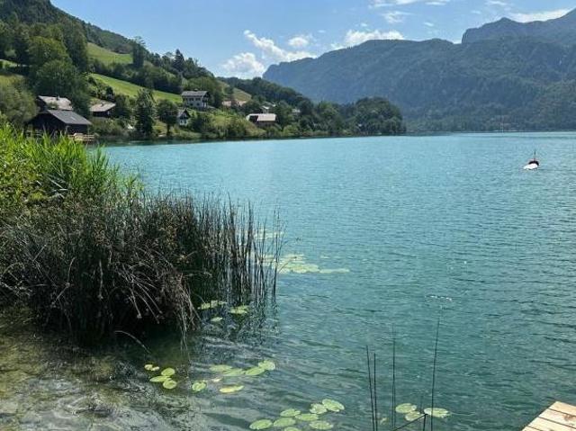 Zu Verkaufen 3 Schlafzimmer Wohnung Oberösterreich Oberösterreich DS105470357
