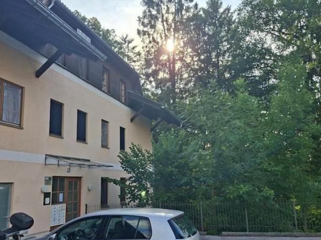 Zu Verkaufen 3 Schlafzimmer Wohnung Salzburg Salzburg DS104366910