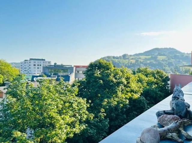 Zu Verkaufen 3 Schlafzimmer Wohnung Salzburg Salzburg DS105075919