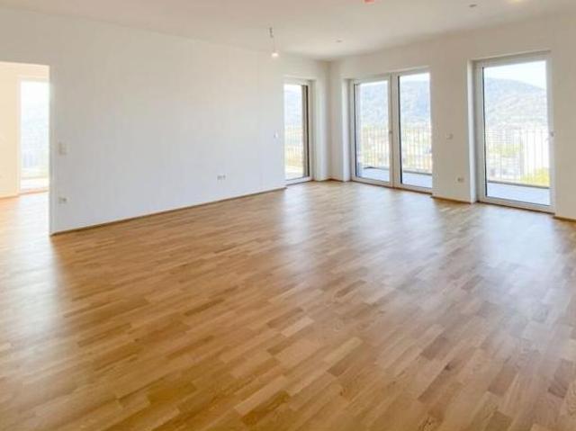 Zu Verkaufen 3 Schlafzimmer Wohnung Steiermark Steiermark DS104185408