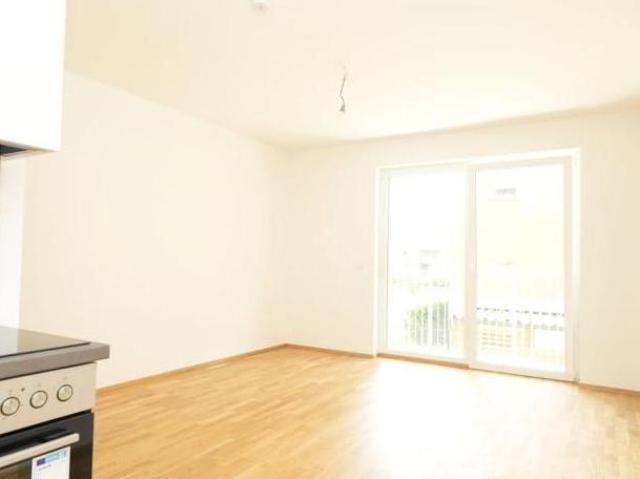 Zu Verkaufen 3 Schlafzimmer Wohnung Steiermark Steiermark DS105137362