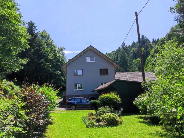 Zu Verkaufen 10 Schlafzimmer Haus Durbach Deutschland DS95949103