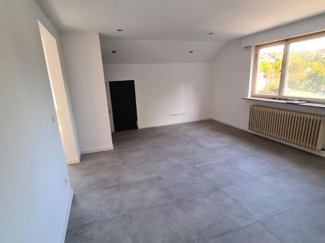 Zu Verkaufen 10 Schlafzimmer Haus Steinheim Deutschland DS94041834