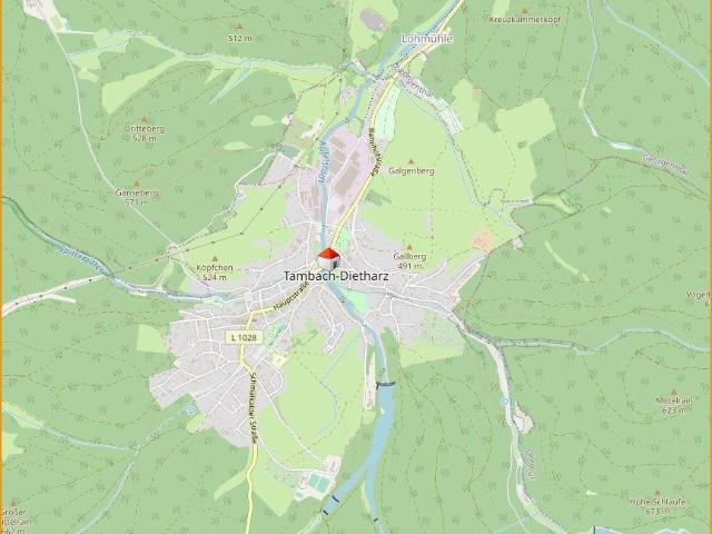 Zu Verkaufen 10 Schlafzimmer Haus Tambach Dietharz Deutschland DS96271173