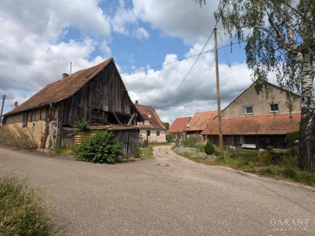 Zu Verkaufen 11 Schlafzimmer Haus Schallstadt Deutschland DS80108466