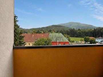 Zu Verkaufen 1 Schlafzimmer Wohnung Niederösterreich Niederösterreich DS103342102