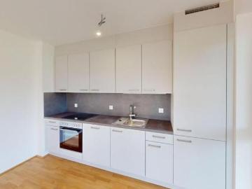 Zu Verkaufen 1 Schlafzimmer Wohnung Steiermark Steiermark DS102887532