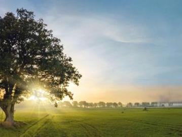 Krefelder Straße, Düsseldorf, Lukasviertel