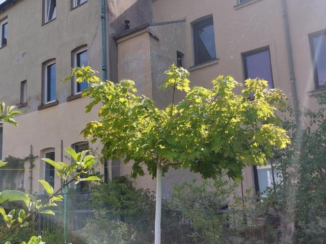 Zu Verkaufen 20 Schlafzimmer Haus Hof Deutschland DLS96651012