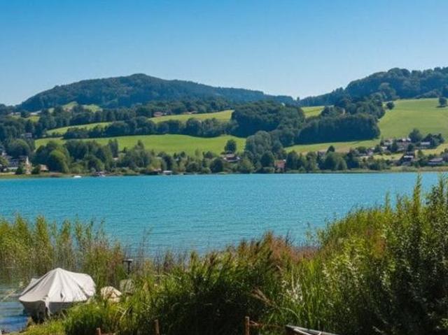 Zu Verkaufen 2 Schlafzimmer Haus Oberösterreich Oberösterreich DS104890820