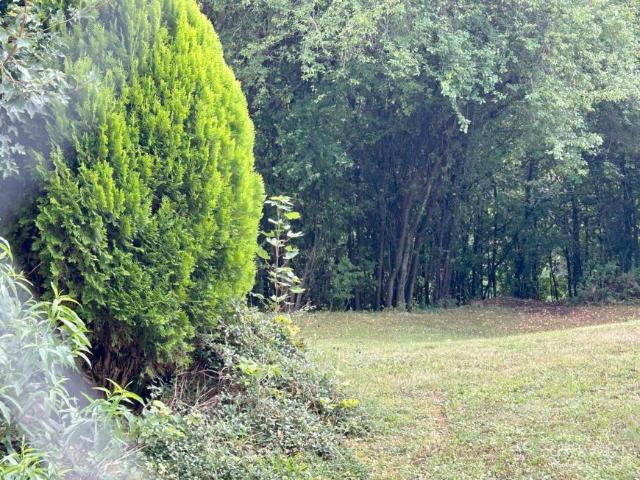 Zu Verkaufen 2 Schlafzimmer Wohnung Wildberg Deutschland DS95020923