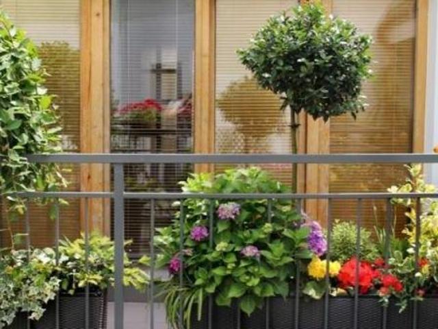 Zu Verkaufen 2 Schlafzimmer Wohnung Bremerhaven Deutschland DS87318377