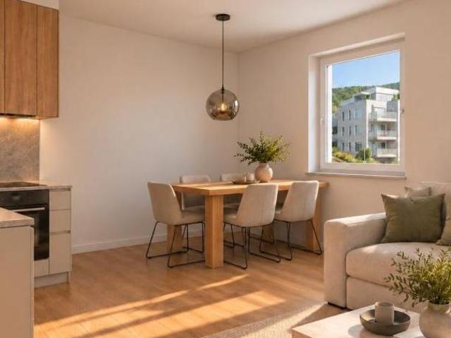 Zu Verkaufen 2 Schlafzimmer Wohnung Oberösterreich Oberösterreich DS106182699