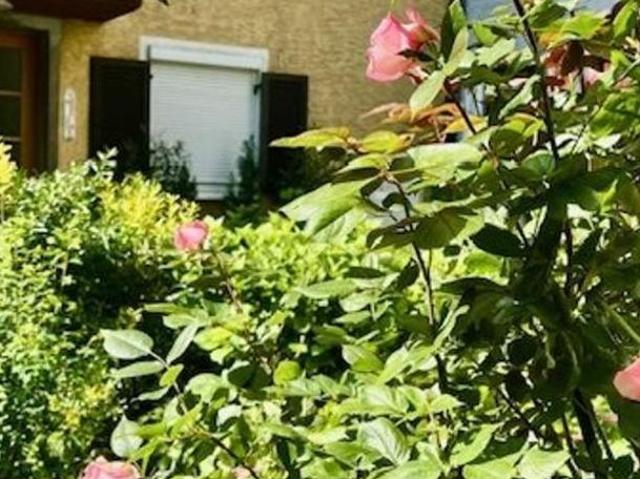 Zu Verkaufen 2 Schlafzimmer Wohnung Salzburg Salzburg DS105152618
